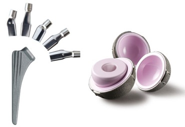 2011 06 06 Zimmer Maxera CLSHipNecks WEB