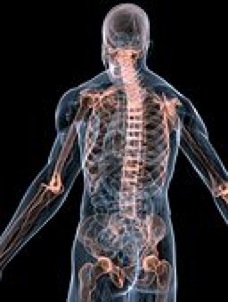 Body 1525R-169274.jpg Body 1525R 169274