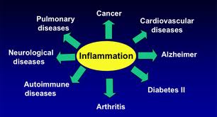 immflamation chart index.jpg Immflamation chart index