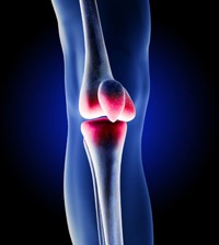 zimmer-nexgen-knee.jpg Zimmer nexgen knee